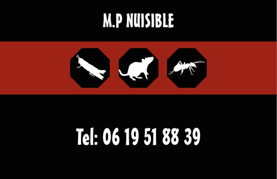 Carte de visite MP Nuisible